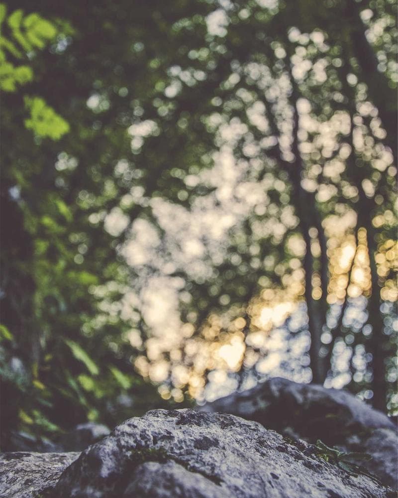 Shiv Kumar Batalvi Auditorium Exterior